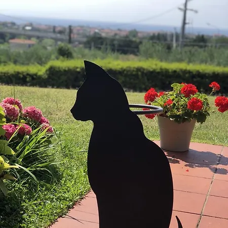 Mascaraldi